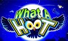 What A Hoot slot game