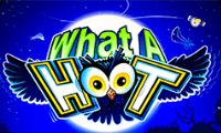 What A Hoot slot by Microgaming