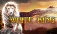White King slot by Playtech