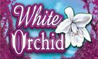 White Orchid slot game