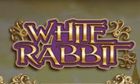 White Rabbit slot game