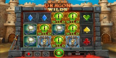 Wicked Dragon Wilds screenshot