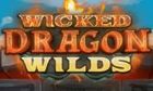 Wicked Dragon Wilds slot game
