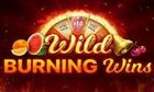 Wild Burning Wins 5 Lines slot game