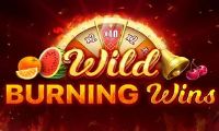 Wild Burning Wins 5 Lines slot by Playson