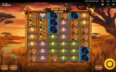 Wild Cats Multiline screenshot