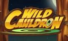 Wild Cauldron slot game