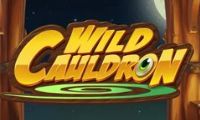 Wild Cauldron slot by Quickspin