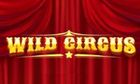 Wild Circus slot game
