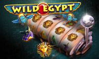 Wild Egypt by Cayetano Gaming