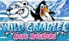 Wild Gambler Arctic Adventure slot game