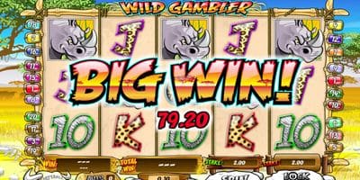 Wild Gambler screenshot