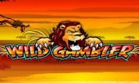 Wild Gambler by Ash Gaming