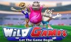 Wild Games slot game