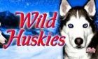 Wild Huskies slot game