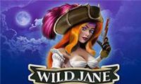 Wild Jane by Leander Games