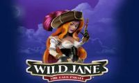 Wild Jane The Lady Pirate by Leander Games