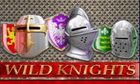 Wild Knights slot game