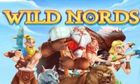 Wild Nords slot game