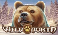 Wild North slot by PlayNGo