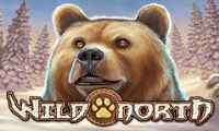 Wild North slot by PlayNGo
