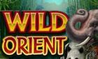 WILD ORIENT slot by Microgaming