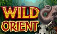 Wild Orient slot by Microgaming