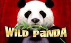 Wild Panda slot game