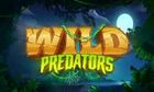 Wild Predators slot game