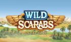 Wild Scarabs slot game