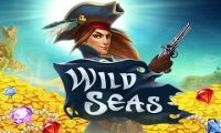 Wild Seas by Elk Studios