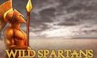 Wild Spartans slot game