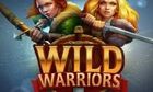 Wild Warriors slot game