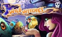 Wild Witches slot by Net Ent
