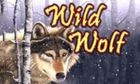 Wild Wolf slot game