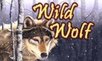 Wild Wolf slot by Igt
