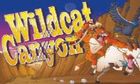 Wildcat Canyon slot game