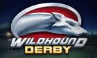 Wildhound Derby slot game