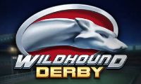 Wildhound Derby slot by PlayNGo