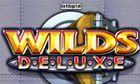 Wilds Deluxe slot game