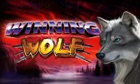 Winning Wolf by Ainsworth Games