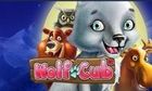 Wolf Cub slot game