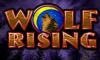 Wolf Rising slot by Igt