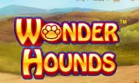 Wonder Hounds slot by Nextgen