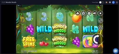 Wonder Woods screenshot