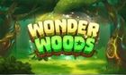 Wonder Woods slot game