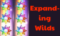 expanding wilds logo