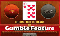 Gamble Feature slots