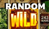 random wilds logo2