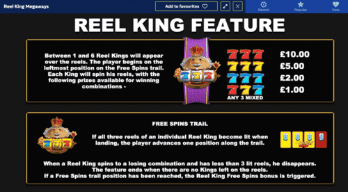 reel king megaways bonus feature 5